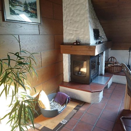 Aussergewoehnliche Atelierferienwohnung Mit Balkon An Der Donau Winzer Екстер'єр фото