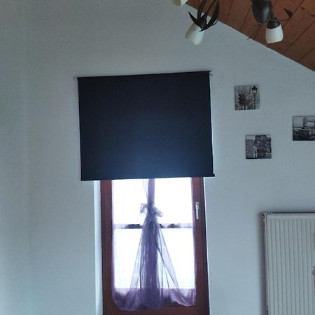 Aussergewoehnliche Atelierferienwohnung Mit Balkon An Der Donau Winzer Екстер'єр фото