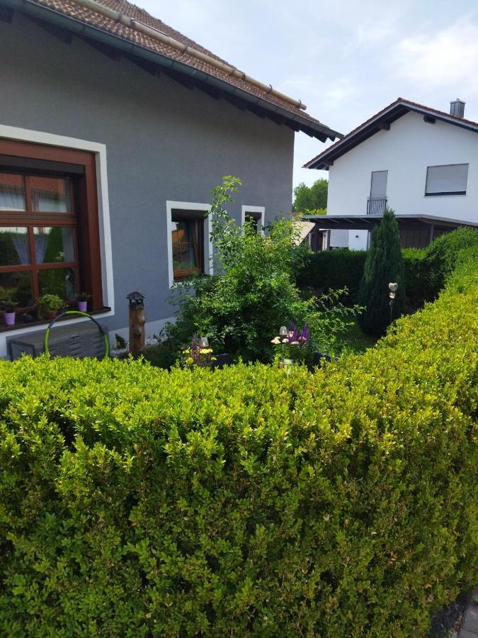 Aussergewoehnliche Atelierferienwohnung Mit Balkon An Der Donau Winzer Екстер'єр фото