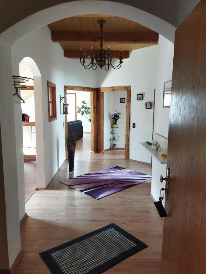 Aussergewoehnliche Atelierferienwohnung Mit Balkon An Der Donau Winzer Екстер'єр фото