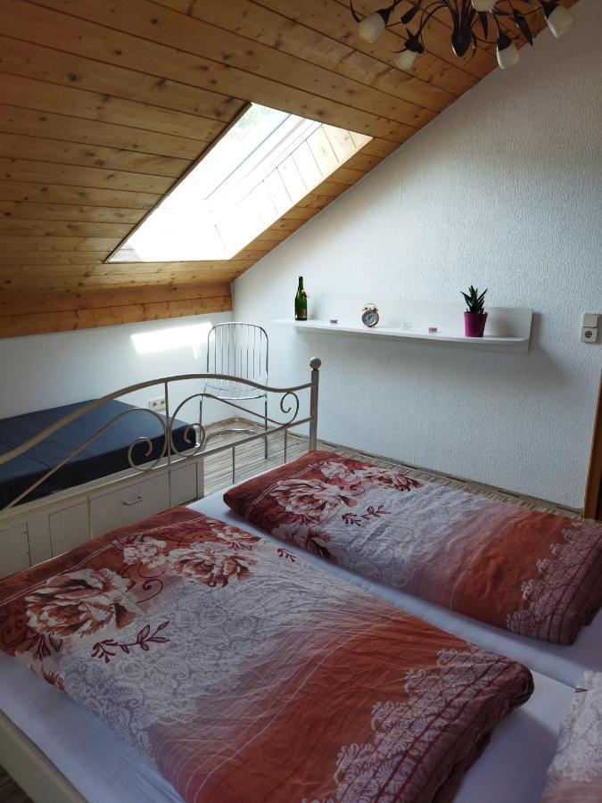 Aussergewoehnliche Atelierferienwohnung Mit Balkon An Der Donau Winzer Екстер'єр фото