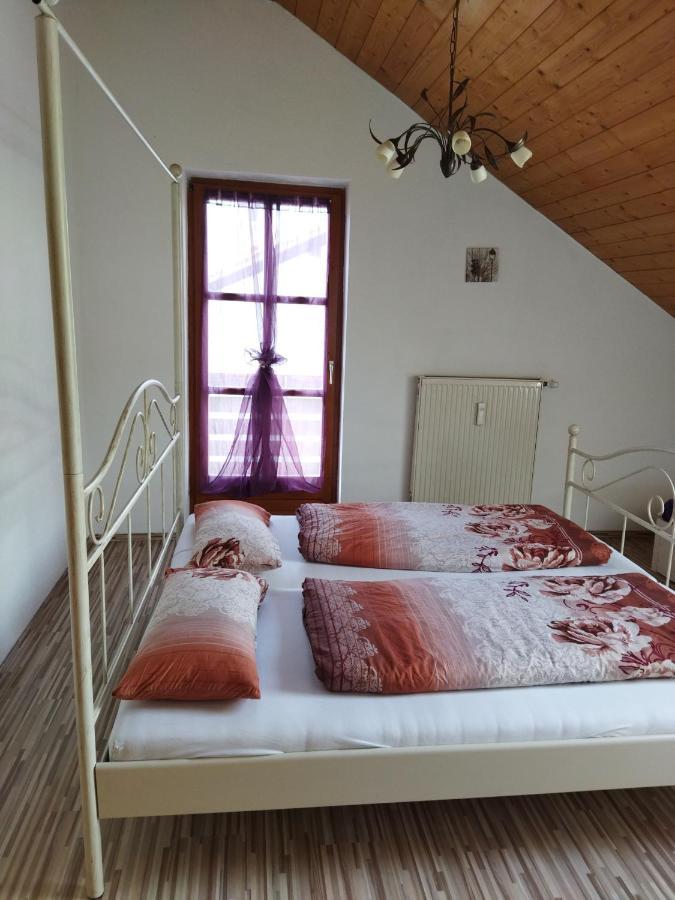 Aussergewoehnliche Atelierferienwohnung Mit Balkon An Der Donau Winzer Екстер'єр фото