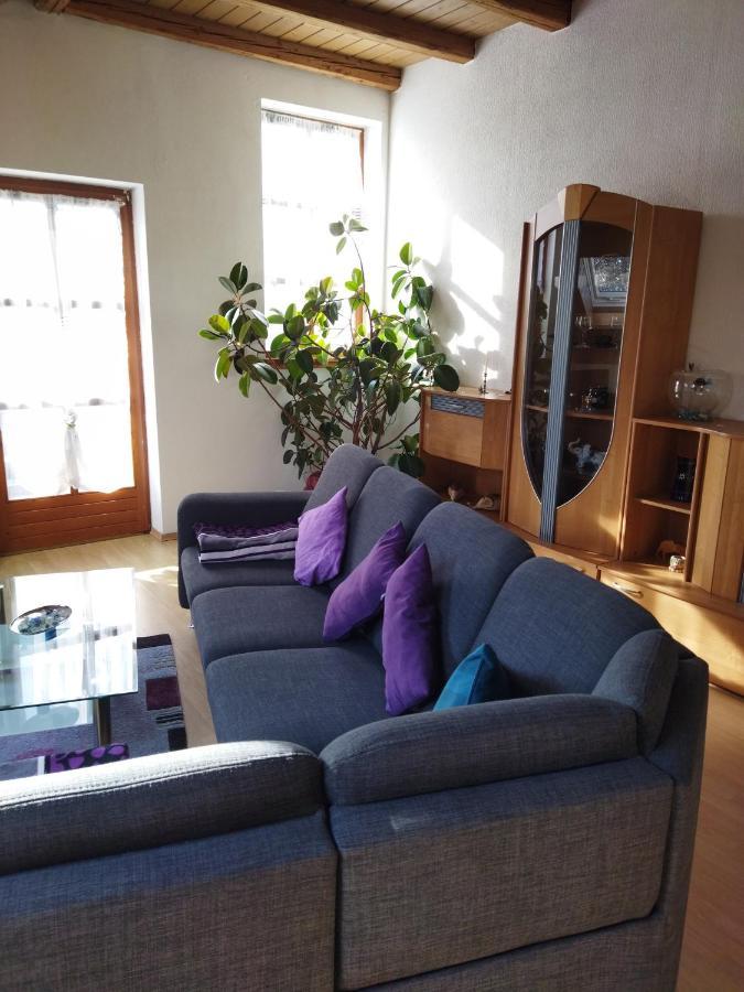 Aussergewoehnliche Atelierferienwohnung Mit Balkon An Der Donau Winzer Екстер'єр фото