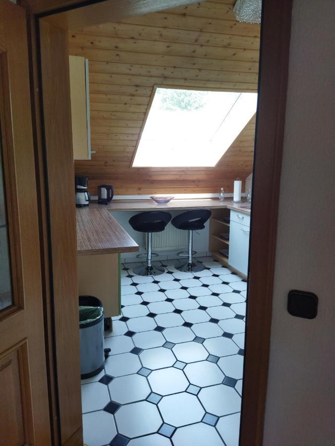 Aussergewoehnliche Atelierferienwohnung Mit Balkon An Der Donau Winzer Екстер'єр фото