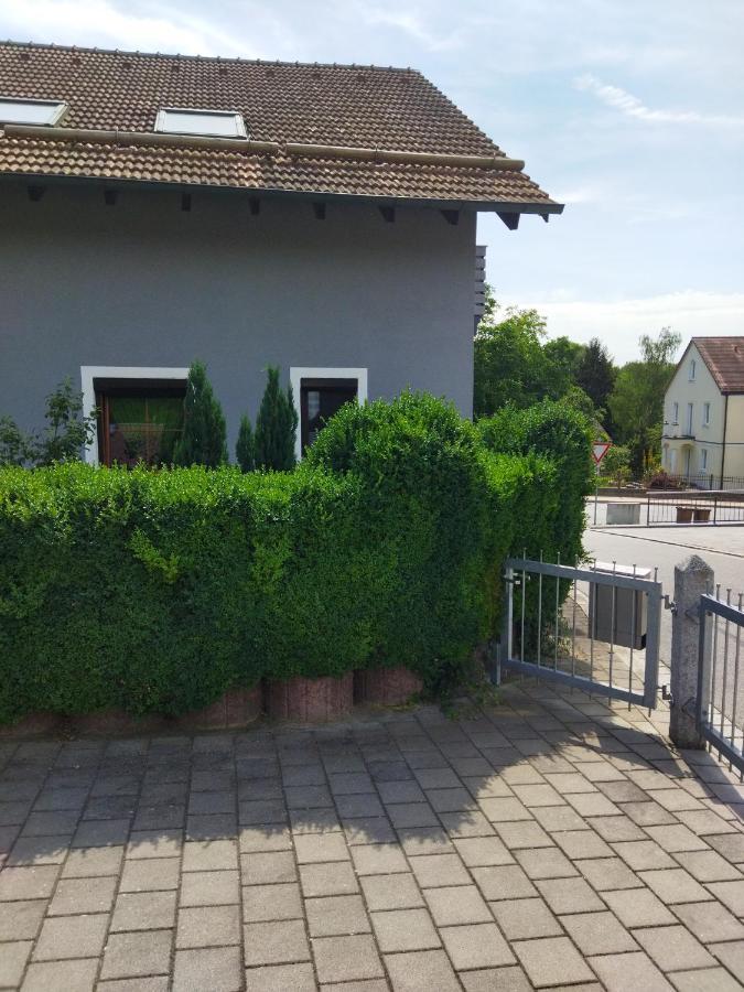 Aussergewoehnliche Atelierferienwohnung Mit Balkon An Der Donau Winzer Екстер'єр фото