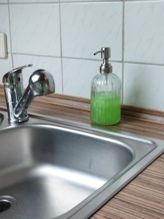 Aussergewoehnliche Atelierferienwohnung Mit Balkon An Der Donau Winzer Екстер'єр фото