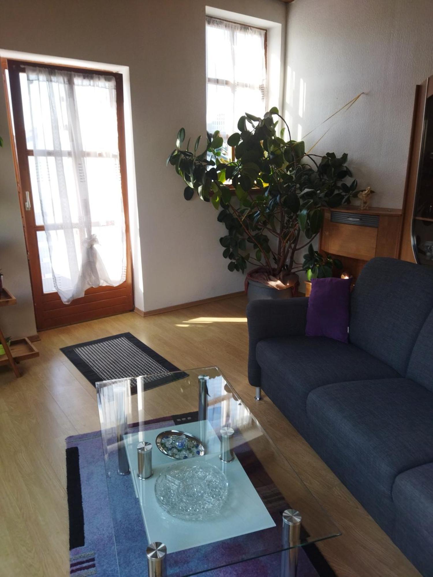 Aussergewoehnliche Atelierferienwohnung Mit Balkon An Der Donau Winzer Екстер'єр фото