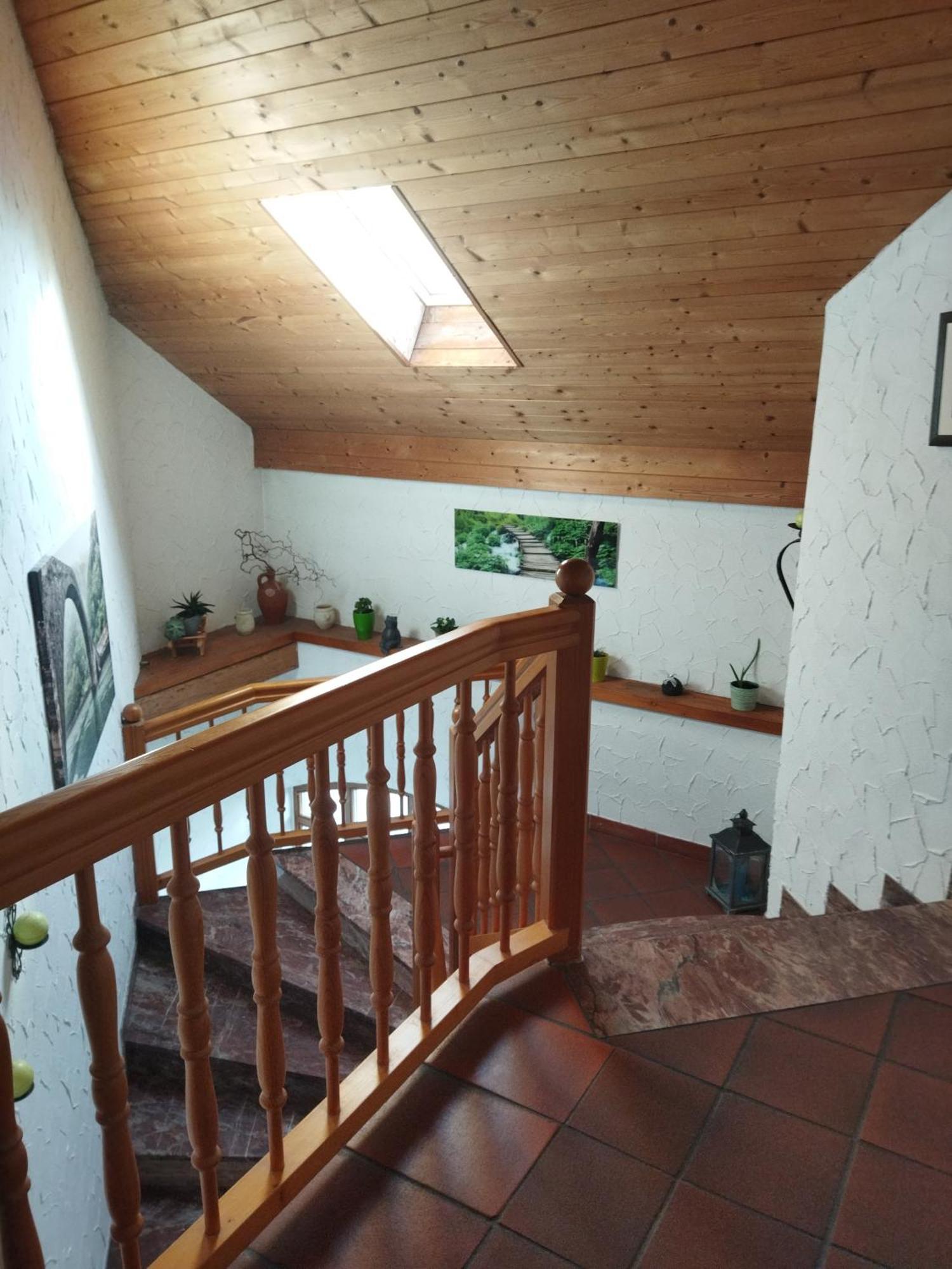 Aussergewoehnliche Atelierferienwohnung Mit Balkon An Der Donau Winzer Екстер'єр фото